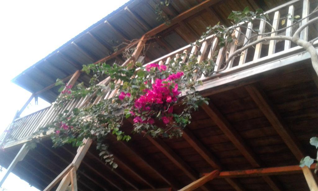 Maremonti Bed & Breakfast Puerto López Exterior foto